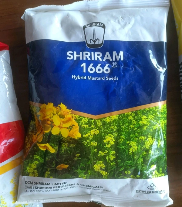 shri ram 1666 hybrid mustard श्री राम 1666 हाइब्रिड रायड़ा - 1 किलो