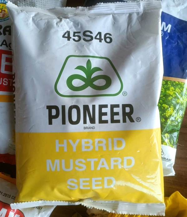 pioneer hybrid mustard पाइनर हाइब्रिड रायड़ा - 1 किलो