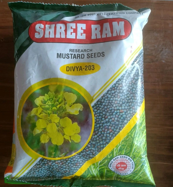 Shree ram Research Mustard श्री राम दिव्या 203 रिसर्च रायड़ा - 1 किलो