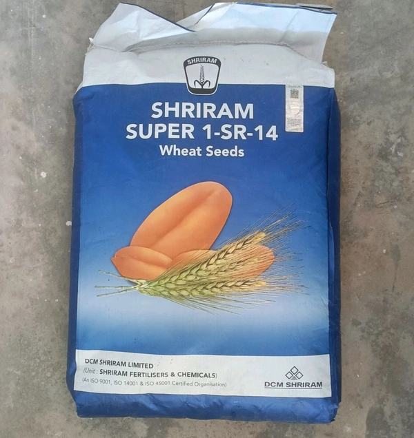 Shriram Wheat Seeds Super 1-SR-14 गेहु बीज श्रीराम सुपर 1-SR-14  (80 रुपये किलो, 20 किलो का बैग) - 20 kg