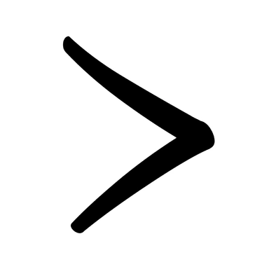 Other/अन्य