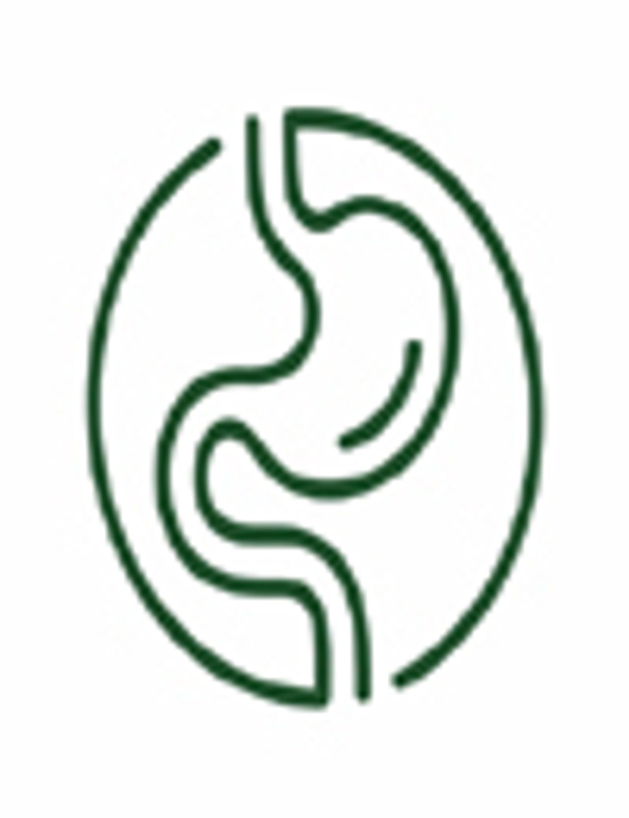 Digestion Icon