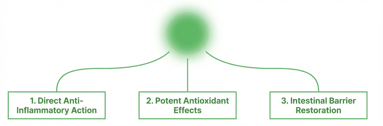 Diagram showing the three primary pathways of Vitamin E mechanism