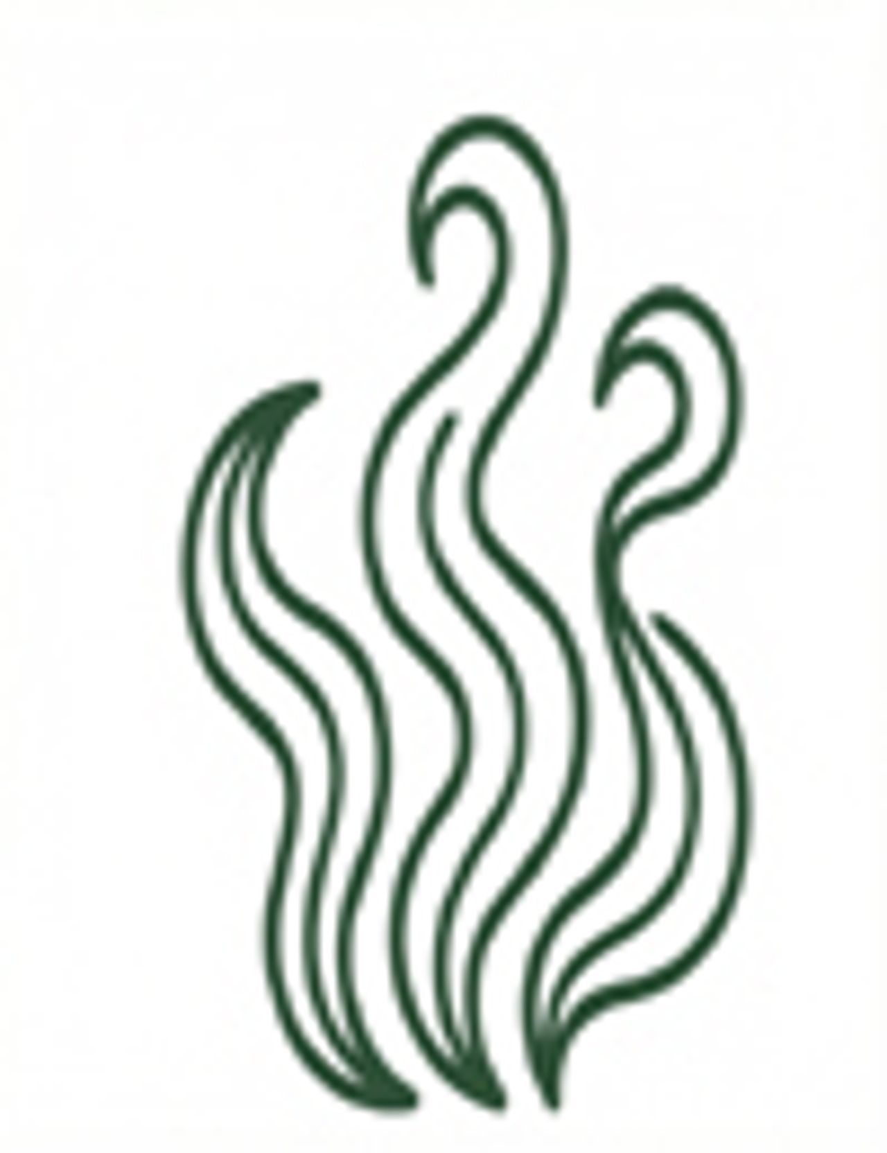 Spirulina algae illustration