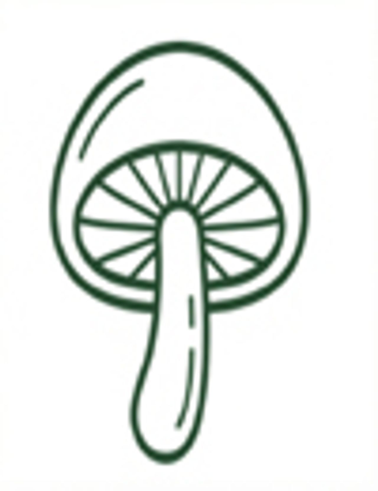 Shiitake Mushroom illustration