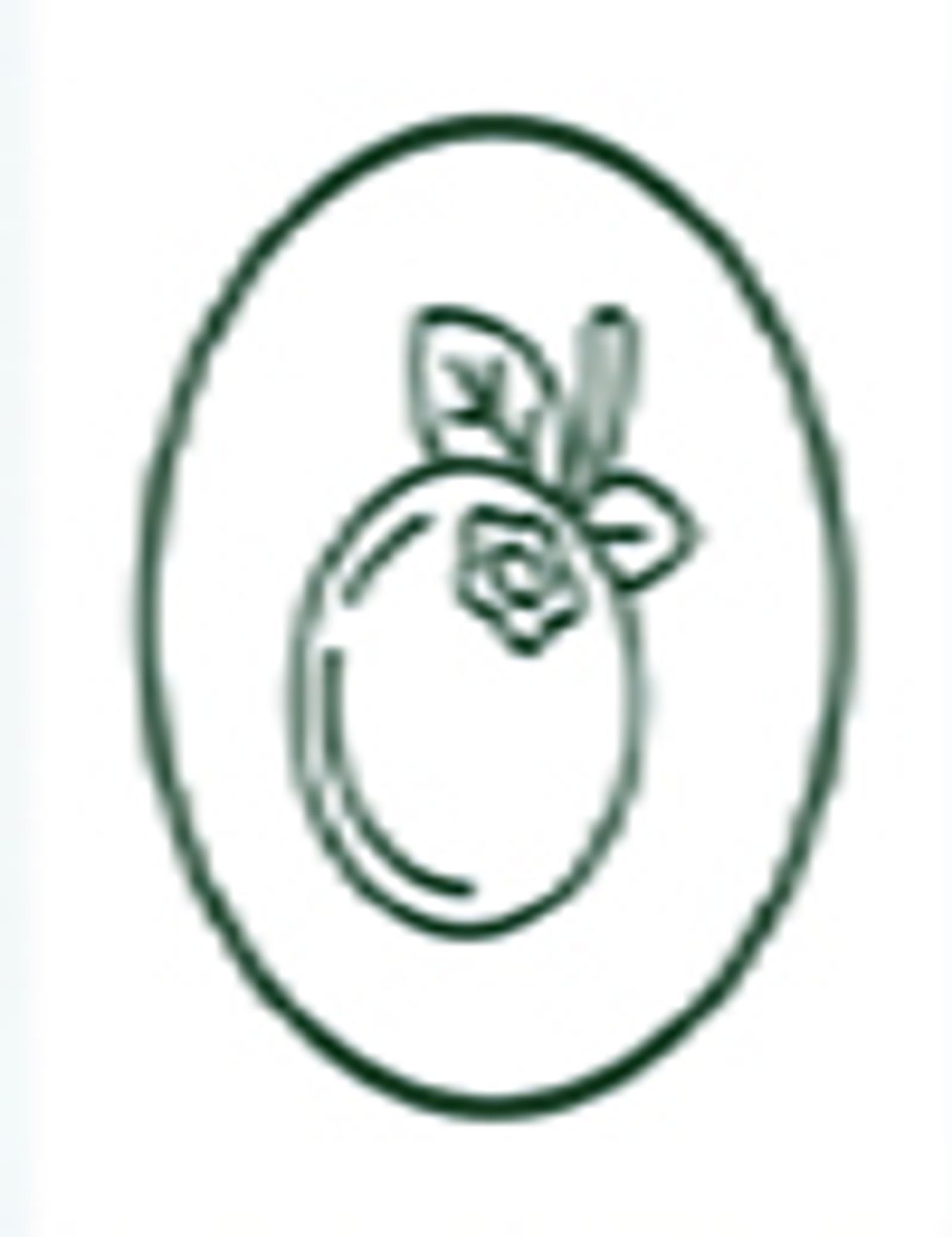 Ginkgo Biloba leaf illustration