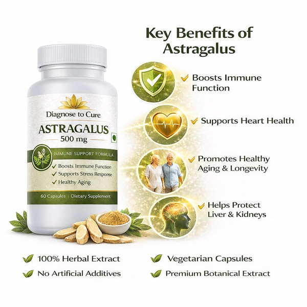 Astragalus Extract – Energy, Immunity & Longevity Support