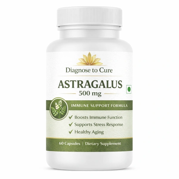 Astragalus Extract – Energy, Immunity & Longevity Support