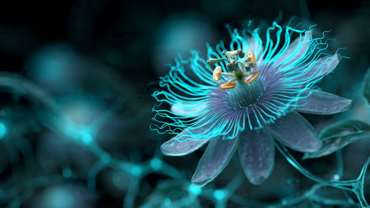 Scientific illustration of a passion flower emitting calm, glowing brainwaves, demonstrating its effect on the brain's GABA system to reduce nervous tension and racing thoughts.