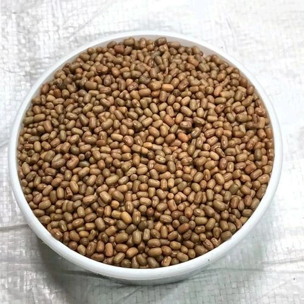 Moth (मठ) Whole - Classic 1kg