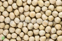 White Peas (పచ్చి బఠానీ) 1kg
