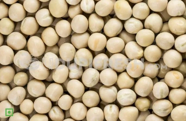 White Peas (పచ్చి బఠానీ) 1kg