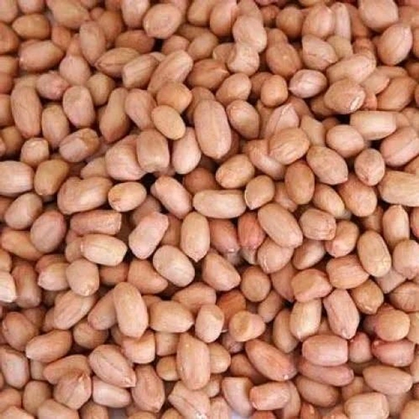 పాతవి Ground Nuts (పిక్కలు) 50kg పాతవి 