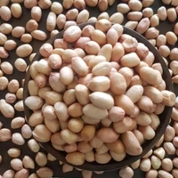 పాతవి Ground Nuts (పిక్కలు) 50kg పాతవి 