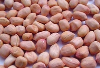 పాతవి Ground Nuts (పిక్కలు) 50kg పాతవి 