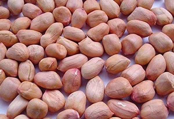 పాతవి Ground Nuts (పిక్కలు) 50kg పాతవి 