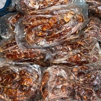 Termined (చింత పండు) Kg