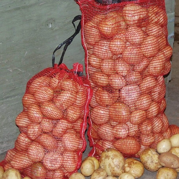 onion bag's ఉల్లిపాయలు
