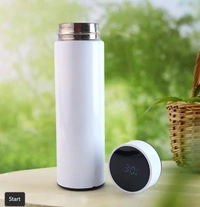 Vacuum Temperature Insulated Water Bottle (1 Pc / 500ML)