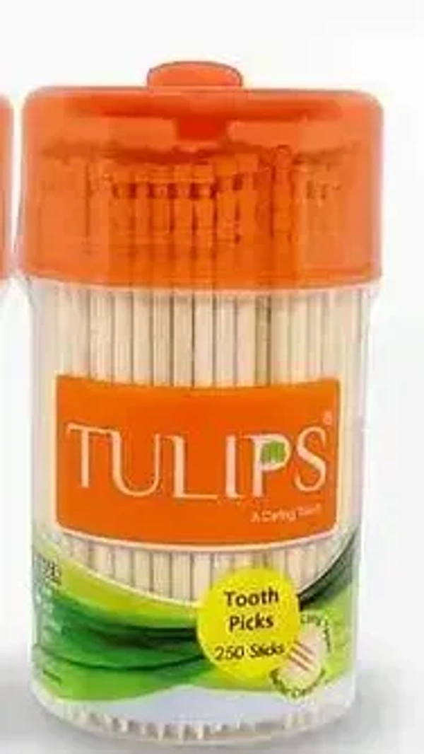 Brand not defined Wooden Tooth Picks
