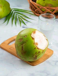 Tender Coconut Water (Elaneer)