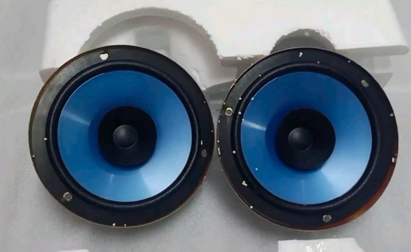 Nippon NFC 1601 Car Speakers.