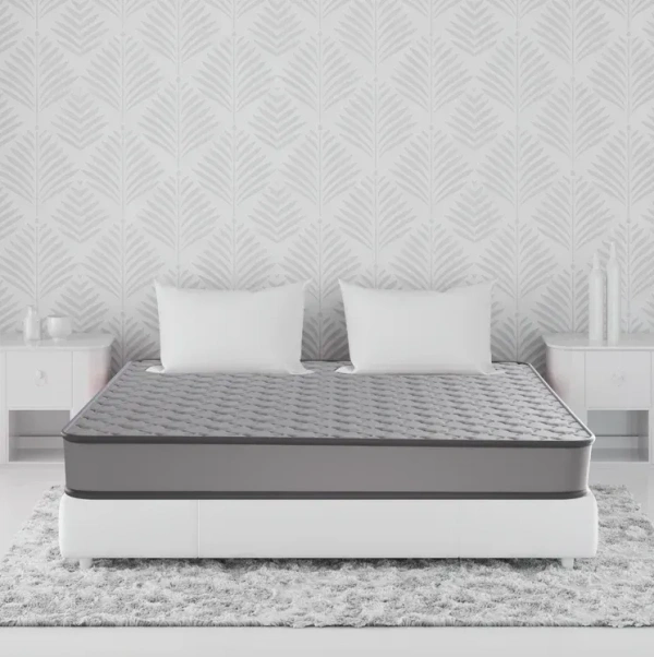 Kurlon Mattresses Kurlon Klassic Essential 5 inch Mattressess - 5 years warranty  - 72 X 30 x 5, Gray