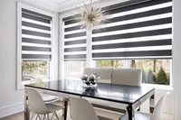 Vfm Decor Zebra Blinds 