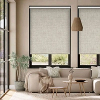 Vfm Decor Roller Blinds 