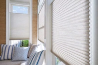 Vfm Decor Honey comb Blinds 