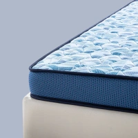 Kurlon Mattresses Kurlon Duorest Essential 5 inch Mattressess - 20 years warranty - 72 X 30 x 5, Royal Blue