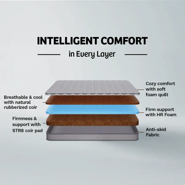 Kurlon Mattresses Kurlon Klassic Essential 5 inch Mattressess - 5 years warranty  - 72 X 30 x 5, Gray