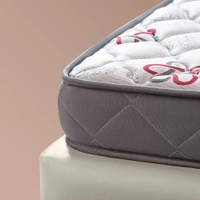Kurlon Mattressess Kurlon Easy Plus 5 inch Foam Mattressess -2 years warranty - 72 x 30 x 5, Gray
