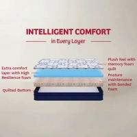 Kurlon Mattressess Kurlon Spine Therapy 6 inch Mattressess- 7 years warranty - 72 x 30 x 6, Navy Blue