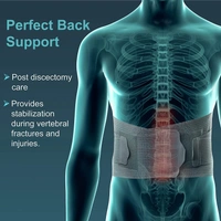 Unisex Contoured Lumbar Support Belt, Back Support Belt For Back Pain, Sciatica, Herniated Disc, Scoliosis With Adjustable Straps And 4 Rigid Stays, Non toxic (Large(36"-40"), Grey) - Free, Gray