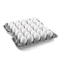 Fresh Egg  - 10 Pic