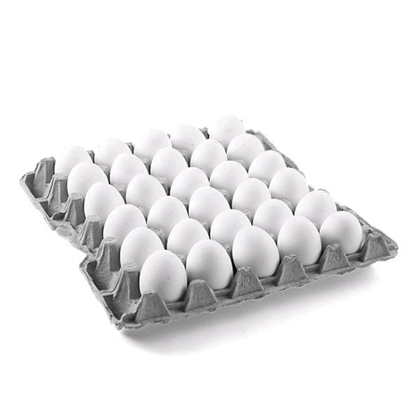 Fresh Egg  - 10 Pic