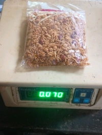 Uday Sankar Chanachur  - 70g