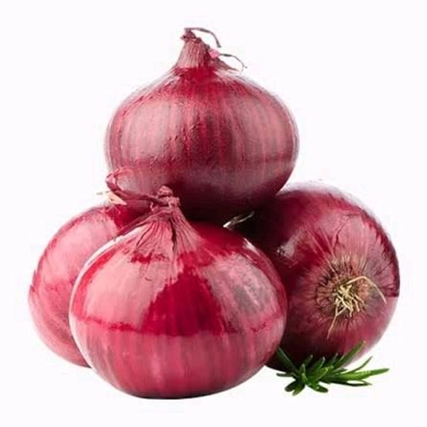 Onion 