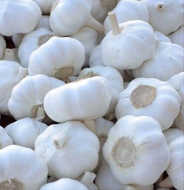 Garlic Big / மலம்பூண்டு  - 1 Kg