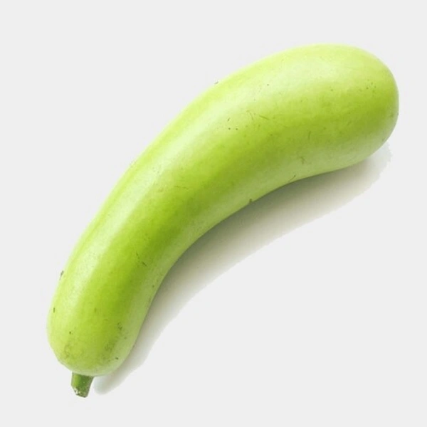 Bottle Gourd / சுரைக்காய் PIECE