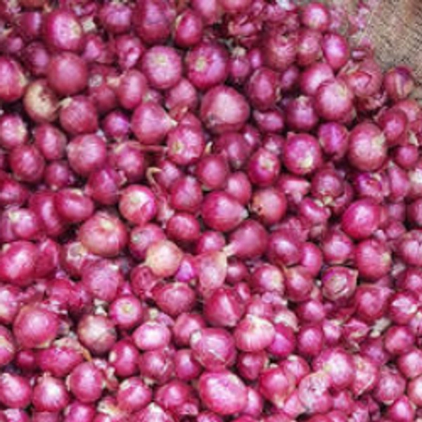 Small Onoin / சின்ன வெங்காயம் kg - 1/4 Kg