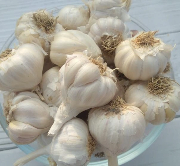 Garlic Small / ரசப்பூண்டு  - 1/2 Kg