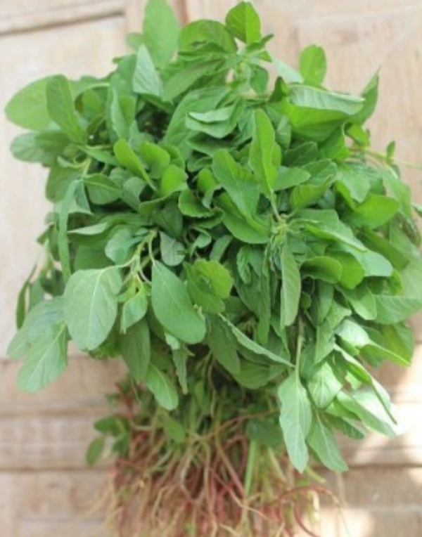 சிறு கீரை 