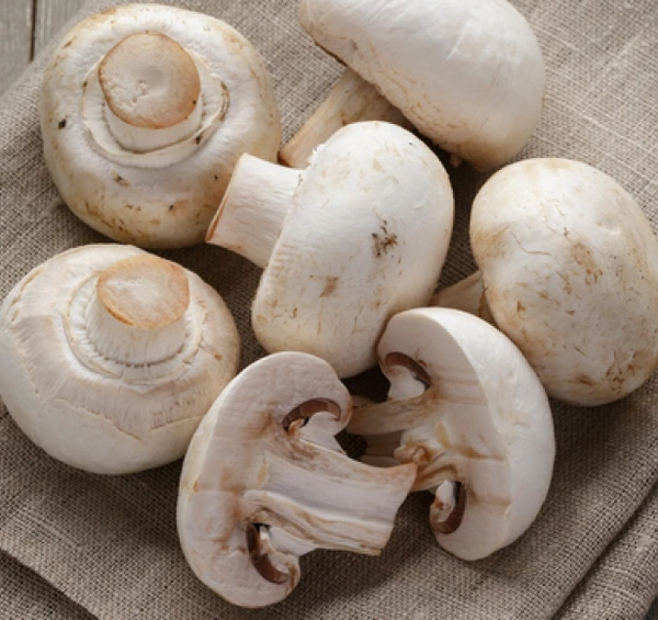Mushroom / காளான் 