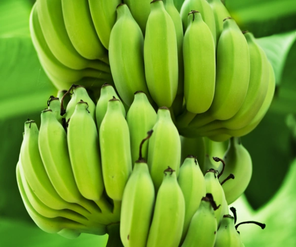 Valaikkai / வாழைக்காய் 