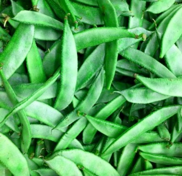 Hyacinth Beans / அவரைக்காய்  - 1/2Kg