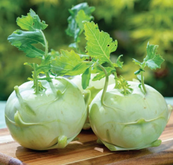 Kohlrabi / நூக்கல் 1kg - 1Kg