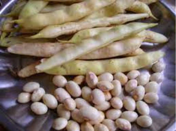 Butter Beans / பட்டர் பீன்ஸ்  - 1/2Kg
