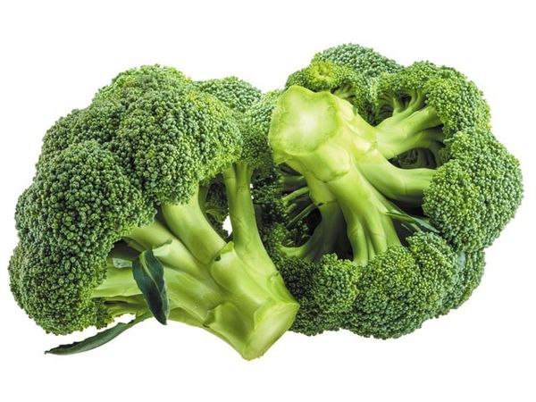 Broccoli ப்ரோக்கோலி